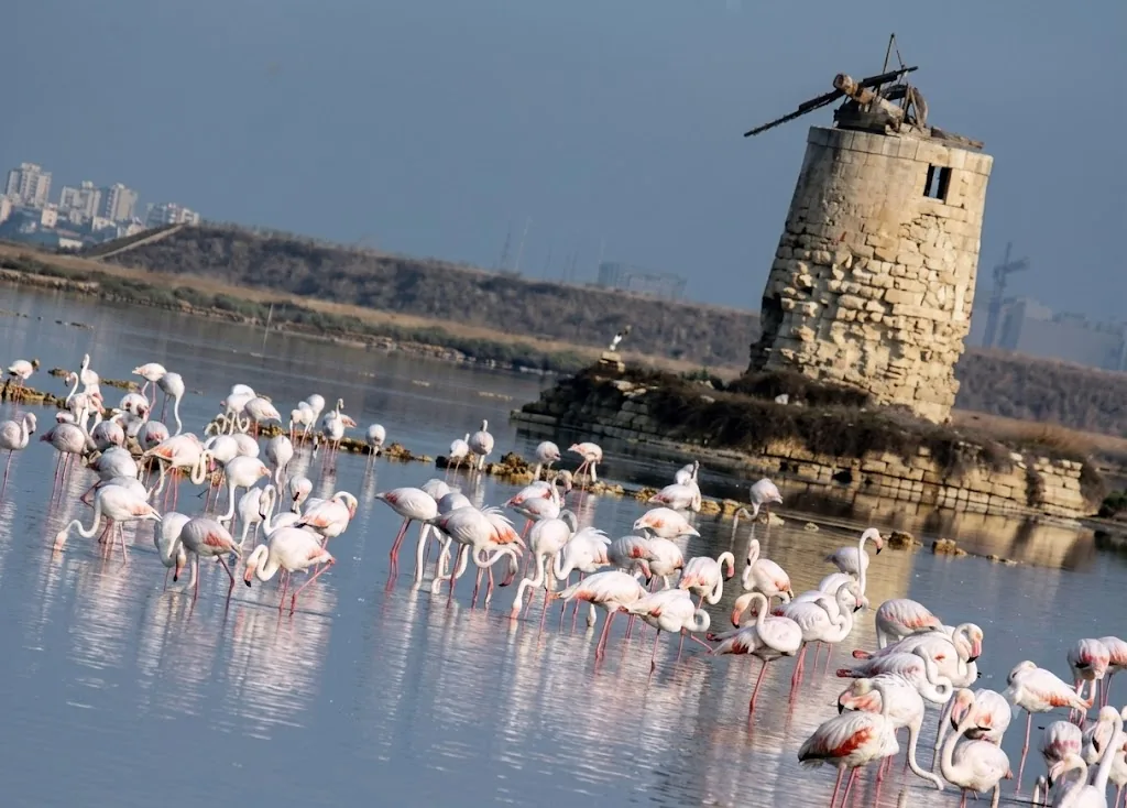 Trapani e le Saline — San Vito Lo Capo (Sicilia)